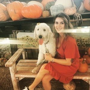 Cute fall dress from Francesscas